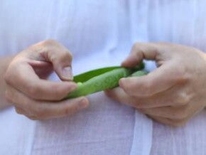Essential Pregnancy Nutrients - Folic Acid Essential Pregnancy Nutrients - Folic Acid