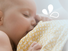 Babies’ taste preferences start before they are born Babies’ taste preferences start before they are born