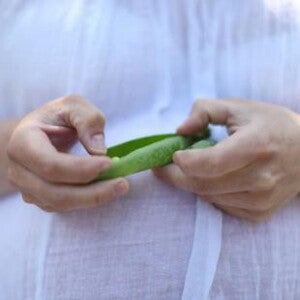 Essential Pregnancy Nutrients - Folic Acid