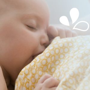 Babies’ taste preferences start before they are born