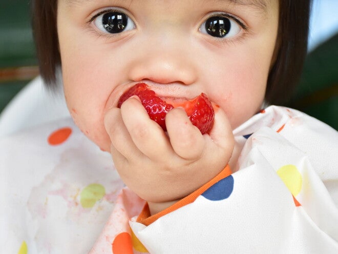 baby eating strawberry in hands baby led weaning baby eating strawberry in hands baby led weaning