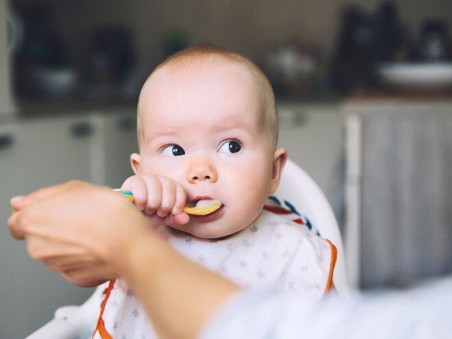 baby eating puree off a spoon in highchair with parents help baby eating puree off a spoon in highchair with parents help
