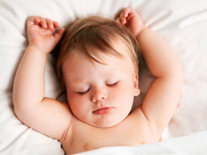 Toddler Sleep Toddler Sleep