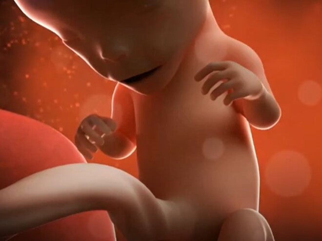 10 Weeks Pregnant Trimester 1