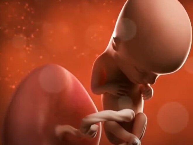 11 Weeks Pregnant Video