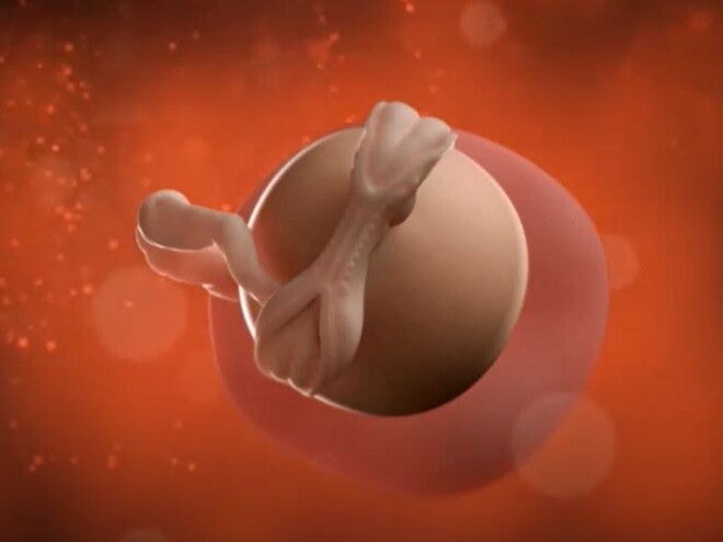 3 Weeks Pregnant video