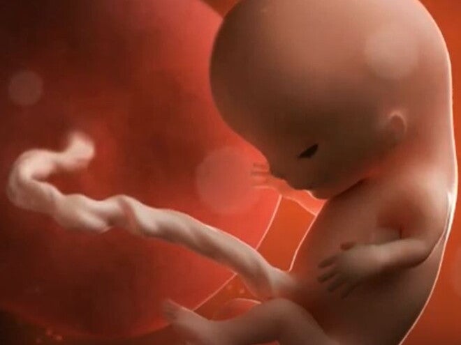 9 Weeks Pregnant video