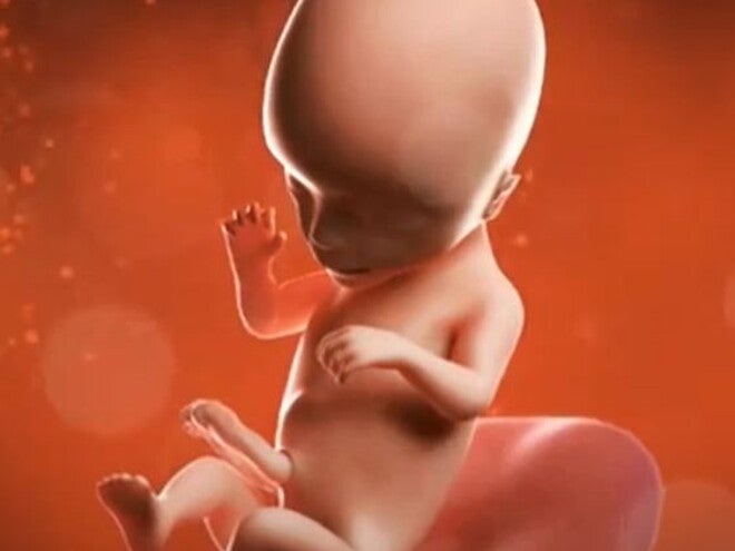14 Weeks Pregnant video