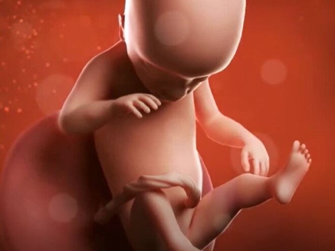 17 Weeks Pregnant video