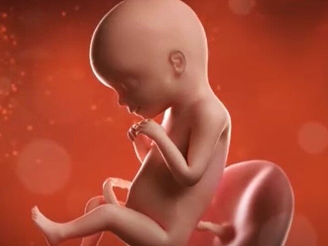 18 Weeks Pregnant video