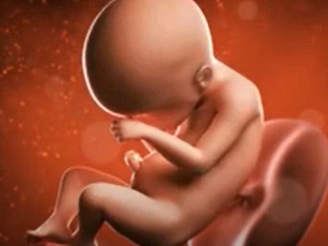 22 Weeks Pregnant video