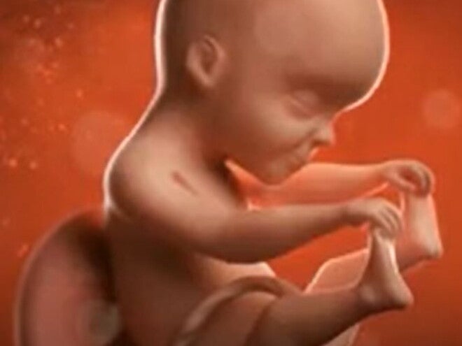 23 Weeks Pregnant video