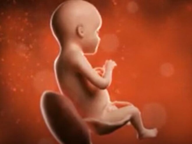 26 Weeks Pregnant video
