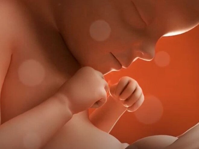 27 Weeks Pregnant video