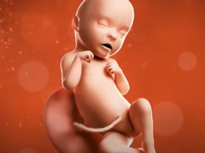 29 Weeks Pregnant video