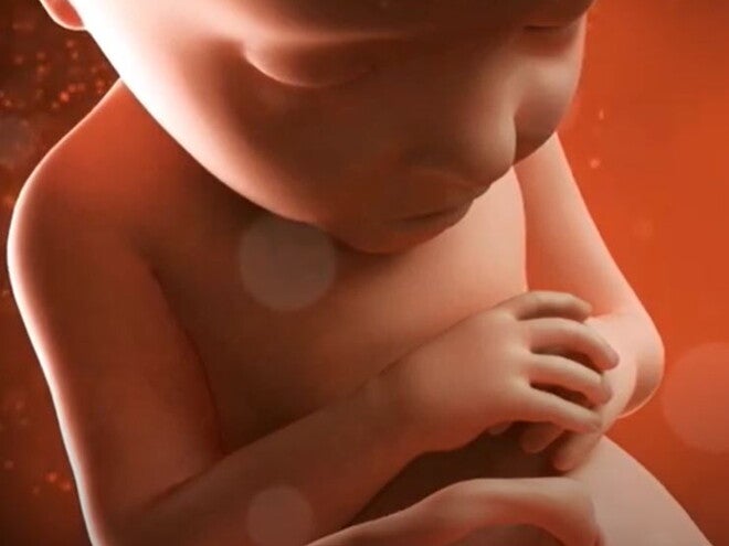 30 Weeks Pregnant video
