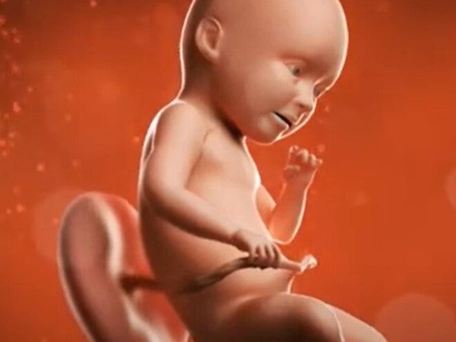 32 Weeks Pregnant video