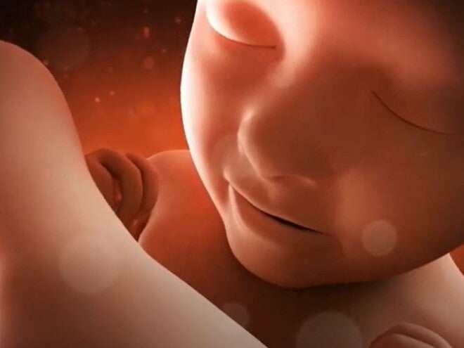 33 Weeks Pregnant video