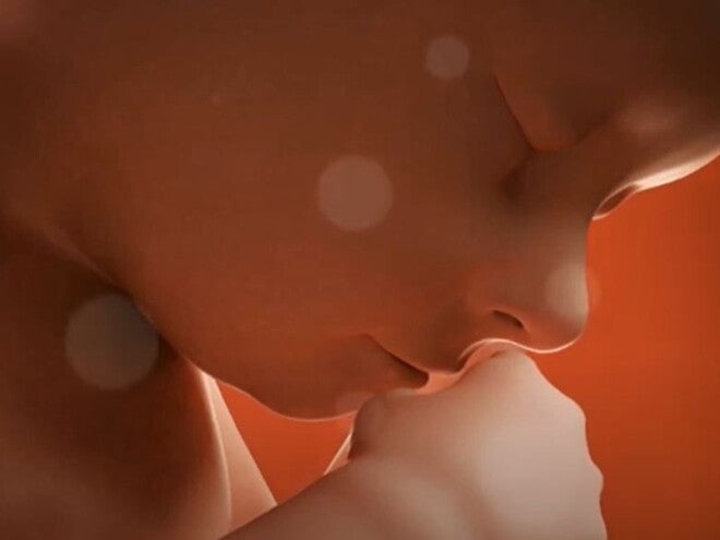 35 Weeks Pregnant video