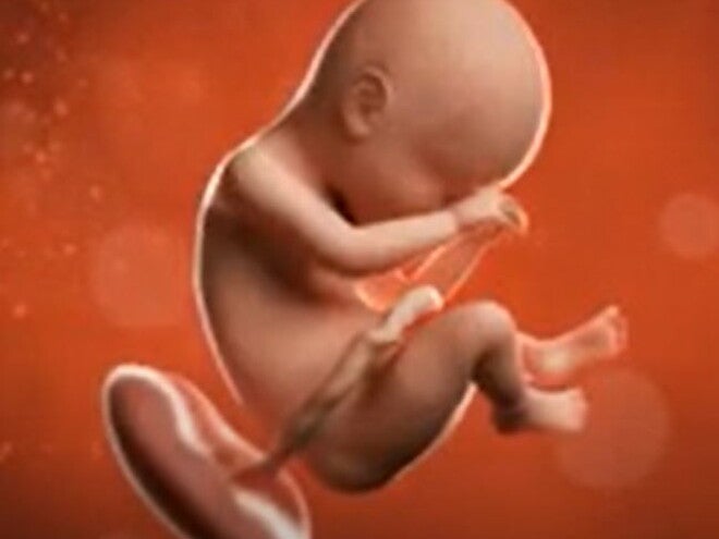 36 Weeks Pregnant video