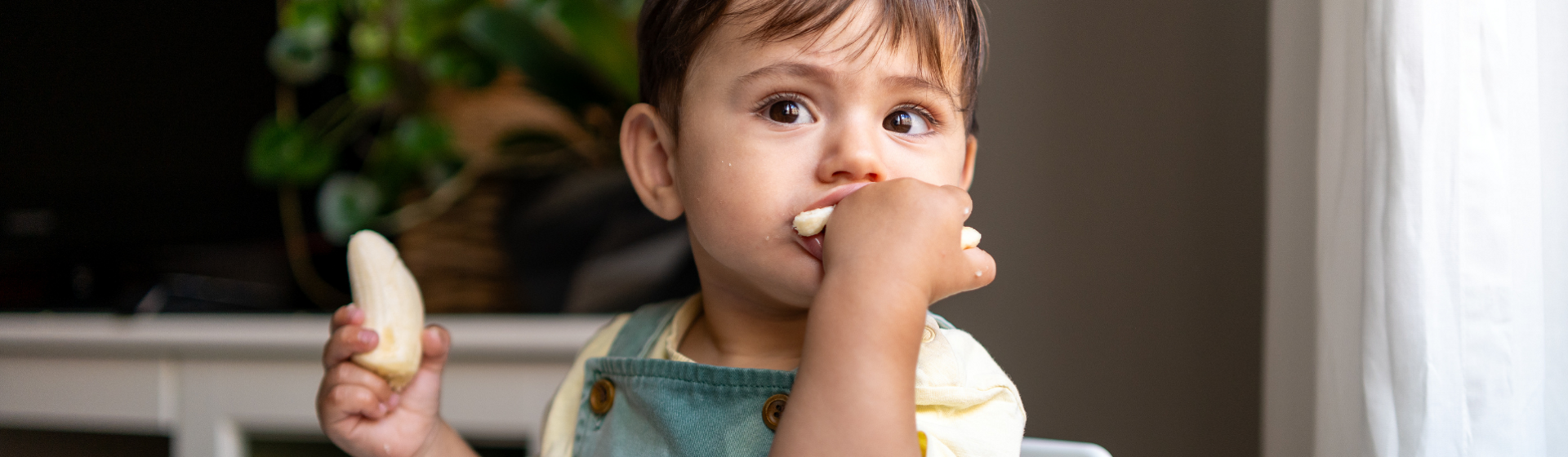 Toddler in yellow tshirt and blue overalls eating a banana Toddler in yellow tshirt and blue overalls eating a banana