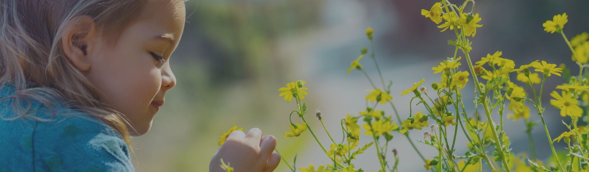 Toddler in a denim dress looking at yellow flowers in a field Toddler in a denim dress looking at yellow flowers in a field