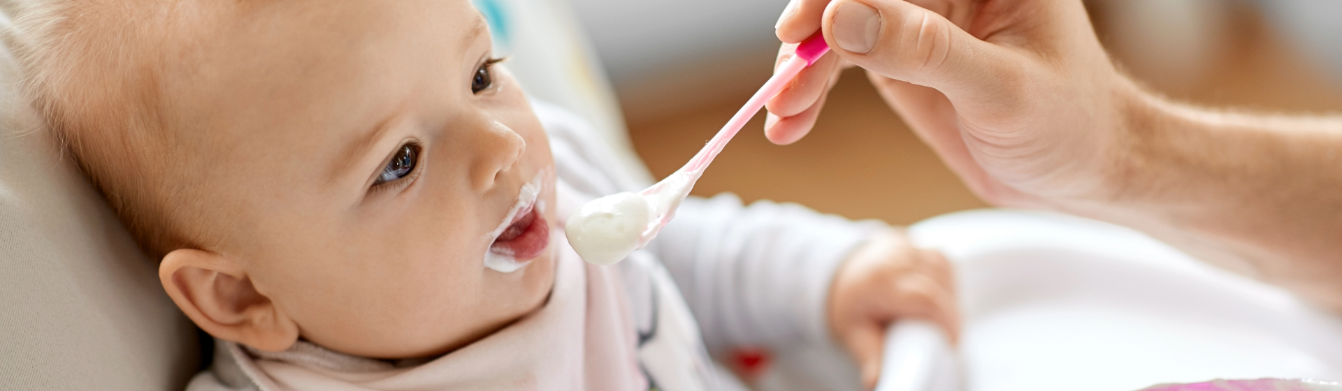 Infant Puree Recipes Infant Puree Recipes