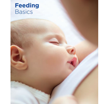 Feeding basics brochure Feeding basics brochure