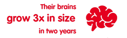 babies brains grow 3x in size in two years babies brains grow 3x in size in two years