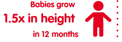 babies grow 1.5x in height in 12 months babies grow 1.5x in height in 12 months