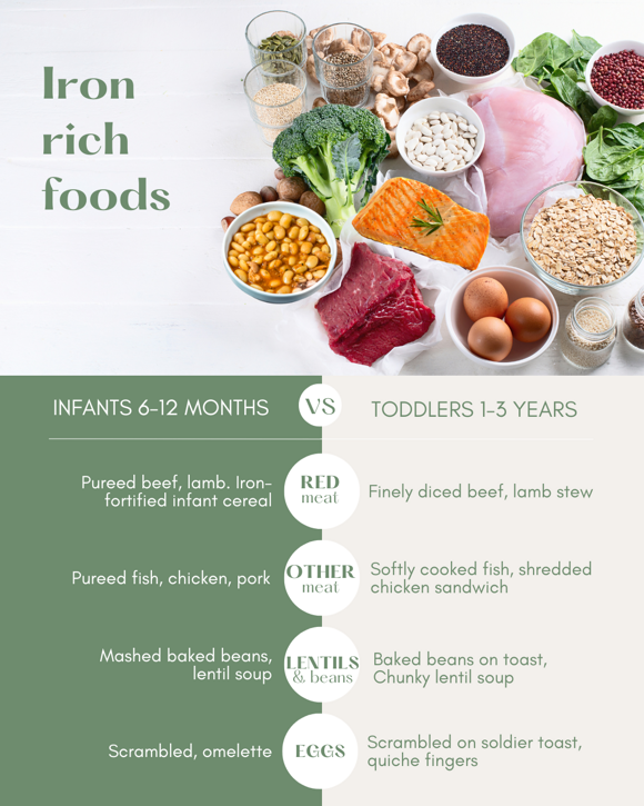 iron rich foods list for infants and toddlers iron rich foods list for infants and toddlers