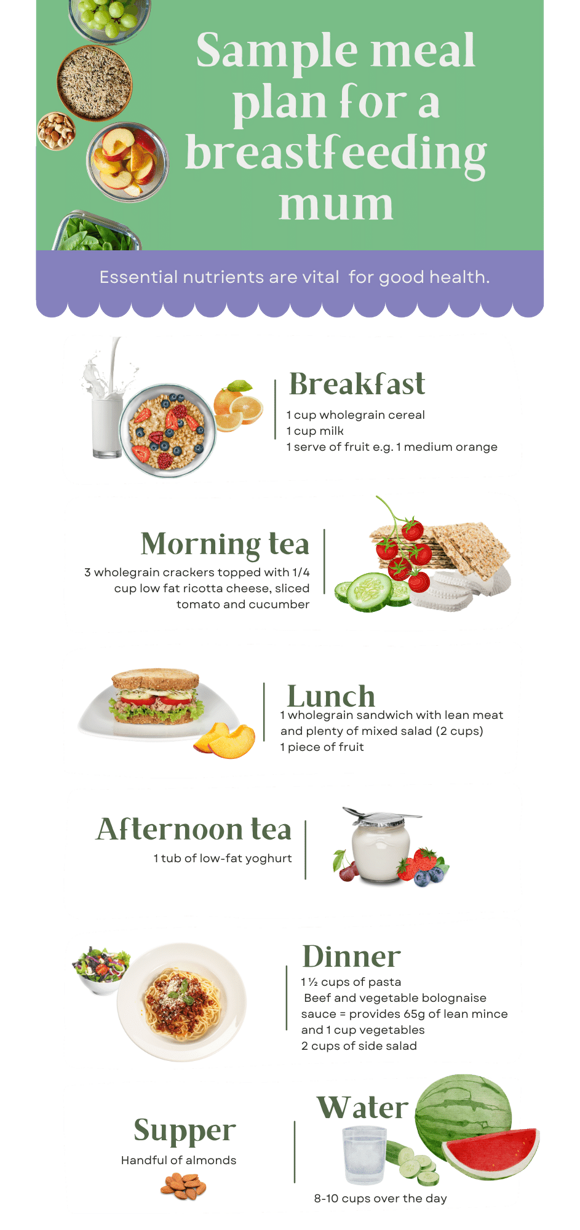 Sample meal plan which is for a breastfeeding mum Sample meal plan which is for a breastfeeding mum